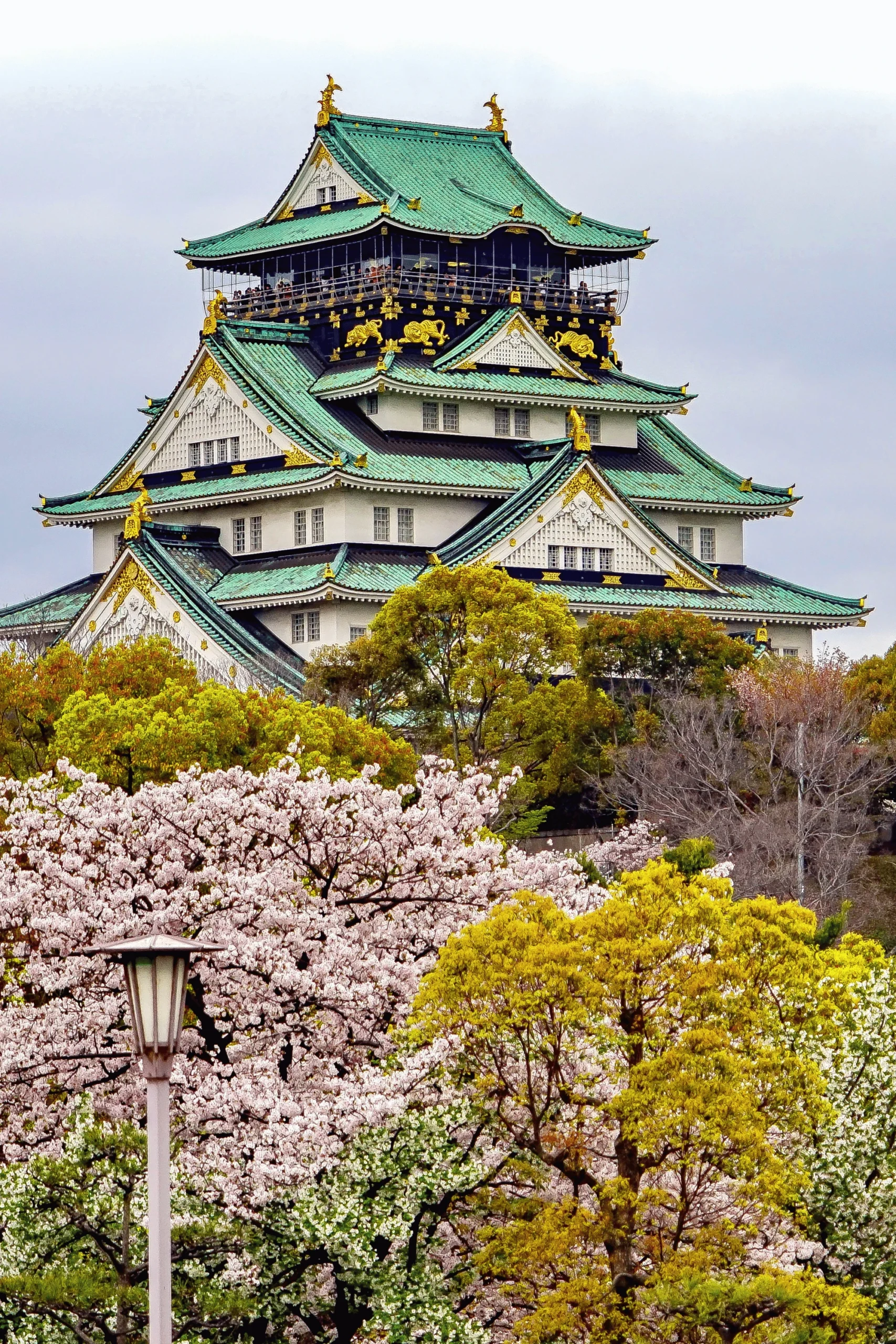 Tokyo, Kyoto & Osaka Culture Tour
